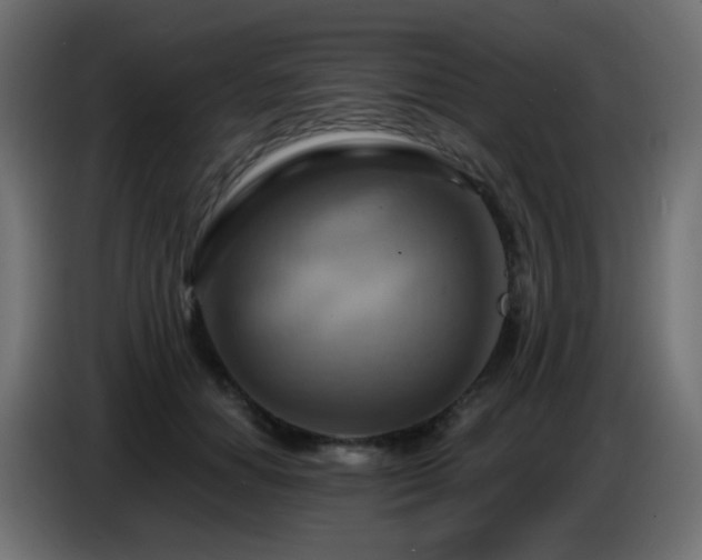 X0000086750654200704131152