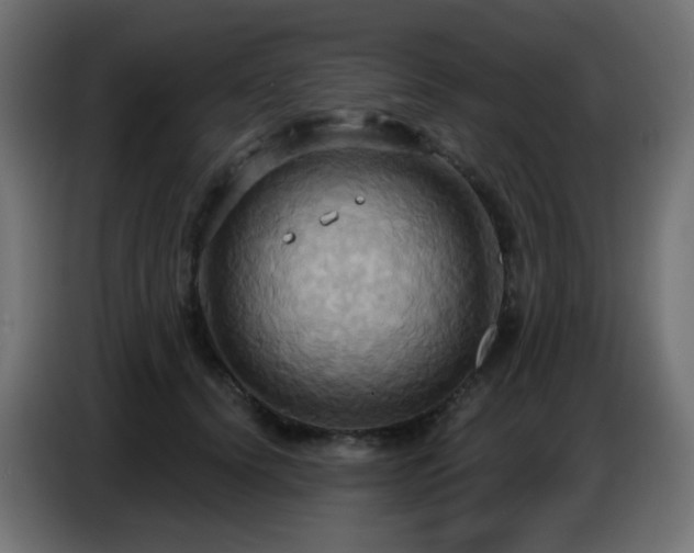 X0000086750656200704131152