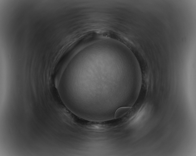 X0000086750657200704131152