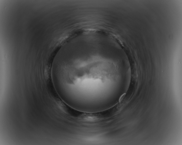 X0000086750658200704131152