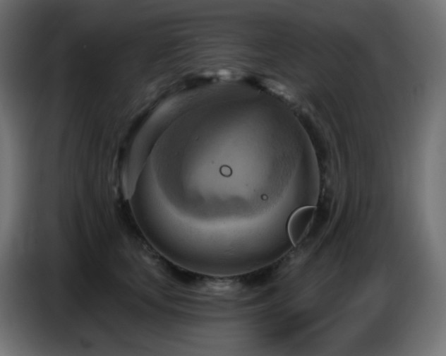 X0000086750659200704131152