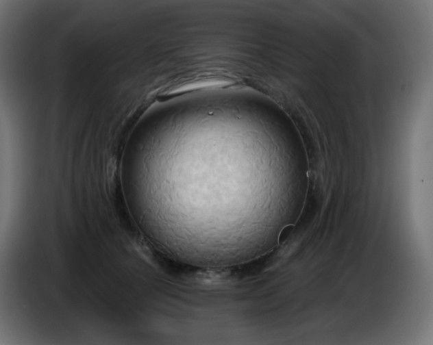 X0000086750660200704131152