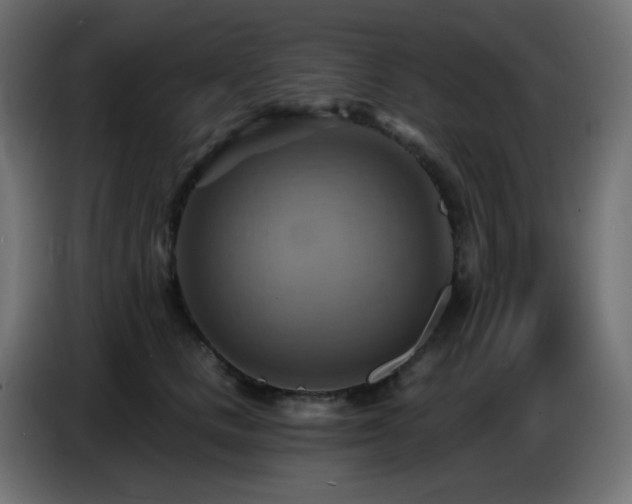 X0000086750661200704131152