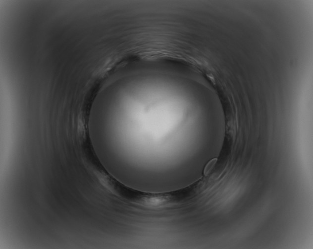 X0000086750662200704131152