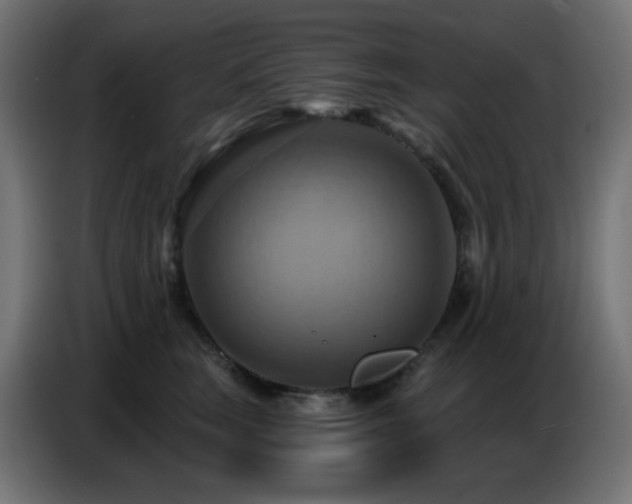 X0000086750663200704131152
