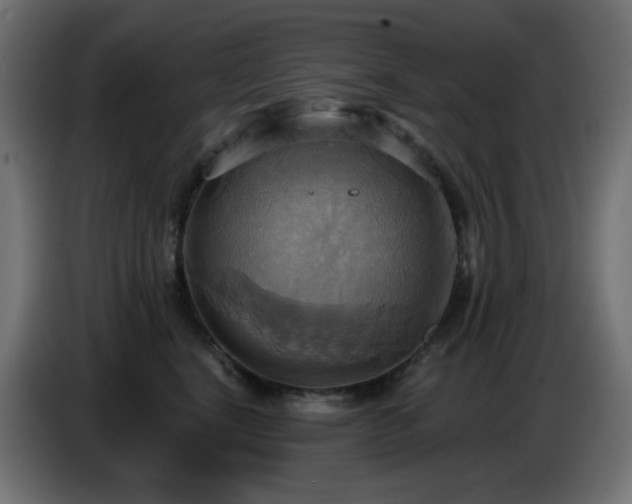 X0000086750664200704131152