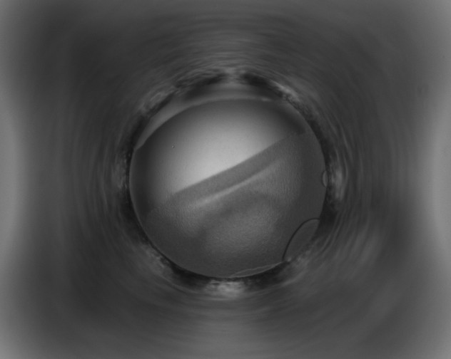 X0000086750665200704131152