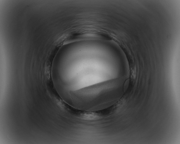 X0000086750666200704131152