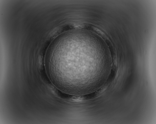X0000086750667200704131152