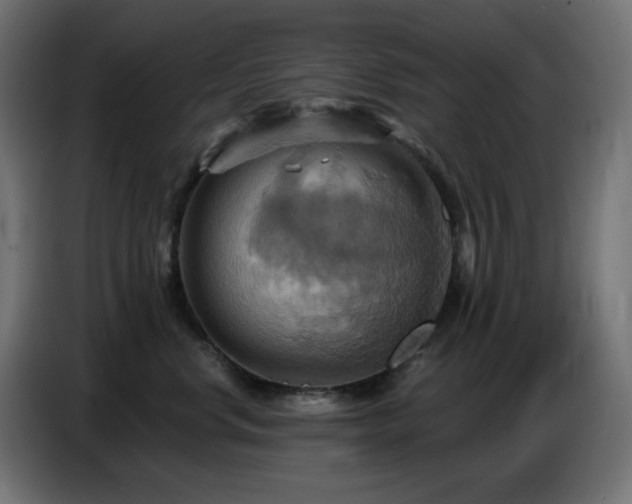 X0000086750668200704131152