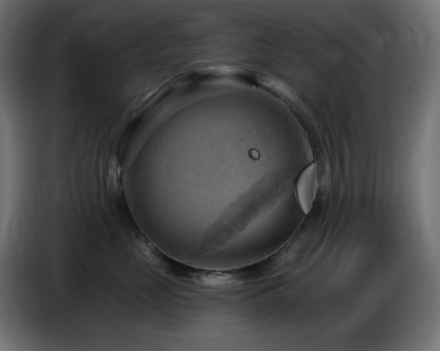 X0000086750669200704131152