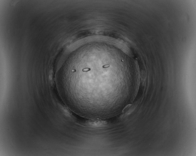 X0000086750670200704131152