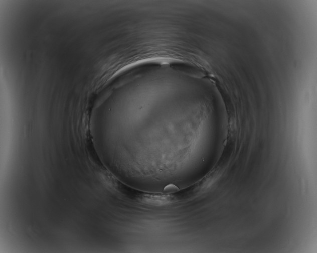 X0000086750671200704131152