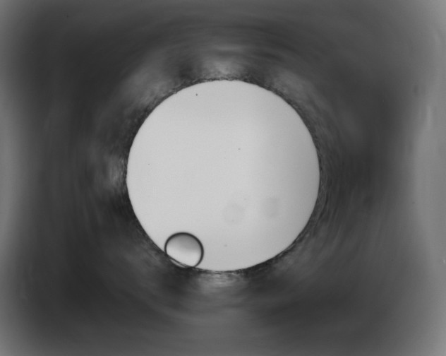 X0000086750672200704131152