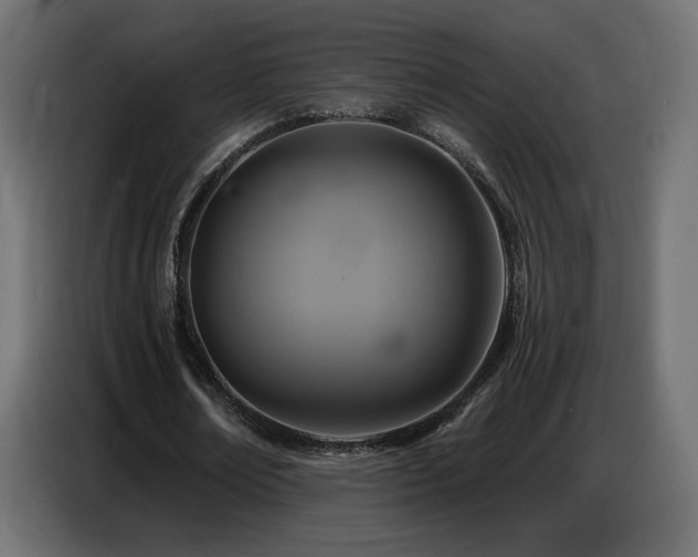 X0000086750674200704131152