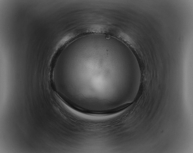 X0000086750679200704131152