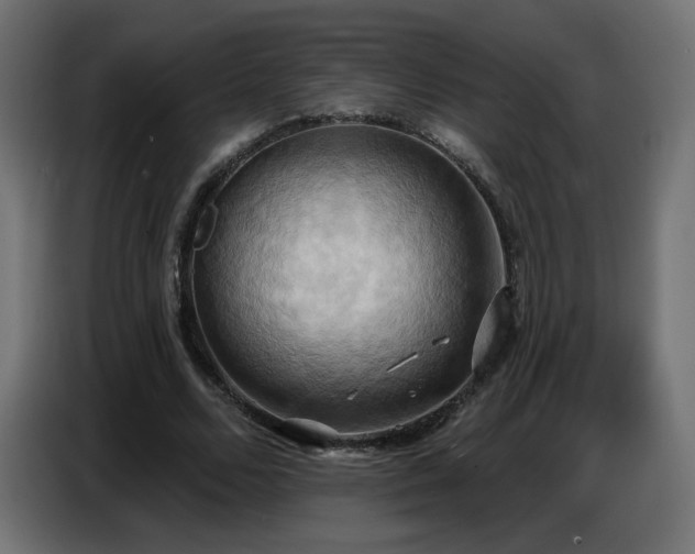 X0000086750680200704131151