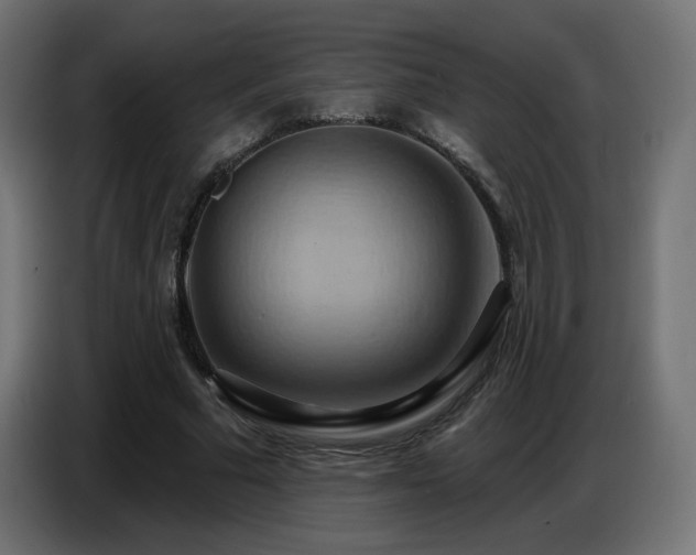 X0000086750681200704131151