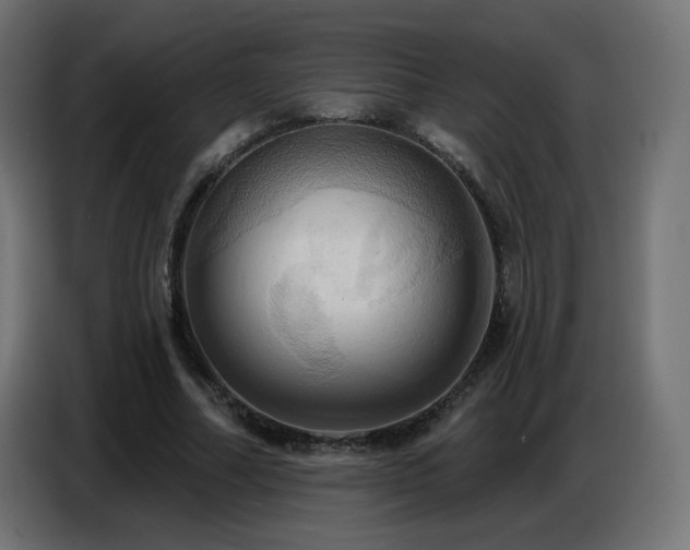 X0000086750682200704131151