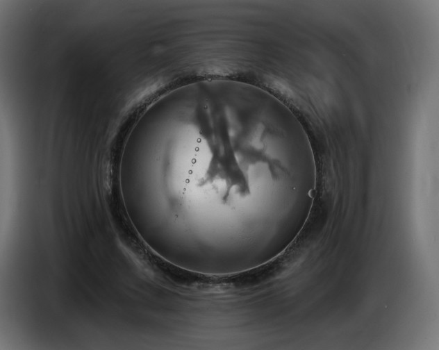 X0000086750683200704131151