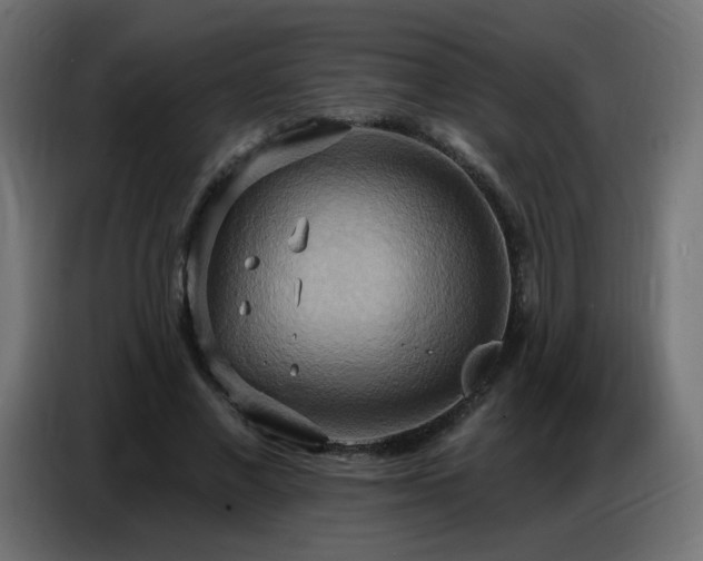 X0000086750685200704131151