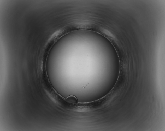 X0000086750686200704131151