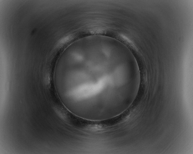 X0000086750687200704131151