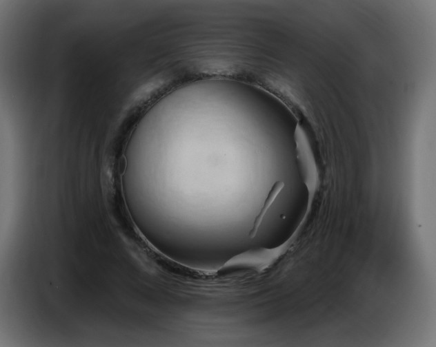 X0000086750688200704131151