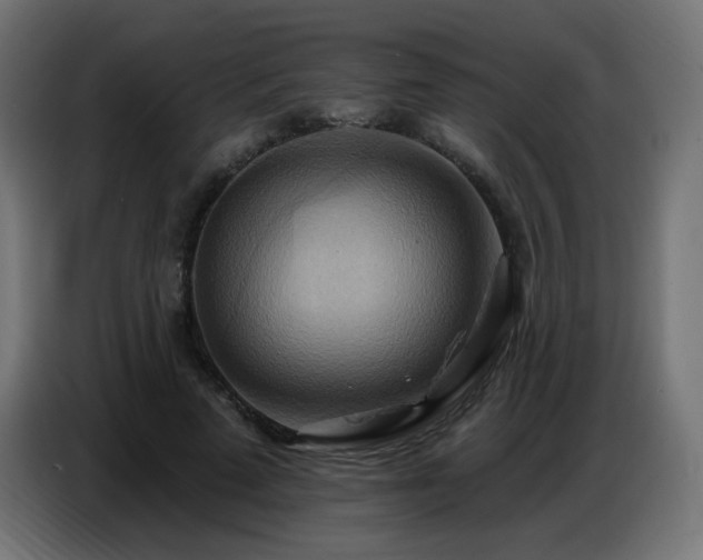X0000086750689200704131151