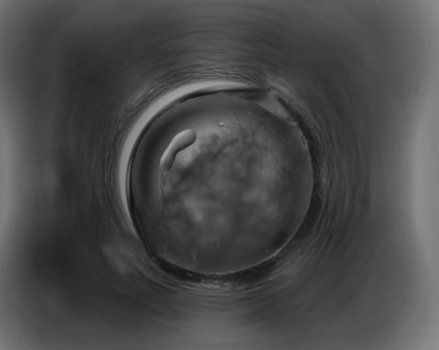 X0000086750691200704131151