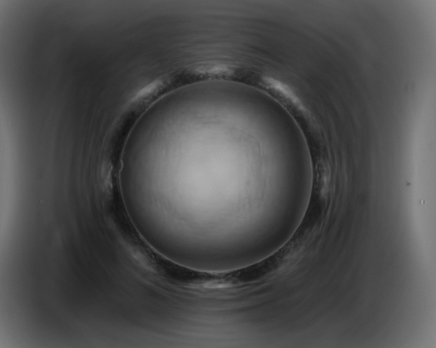 X0000086750692200704131151