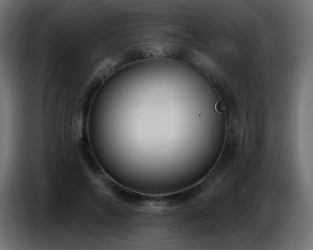X0000086750694200704131151