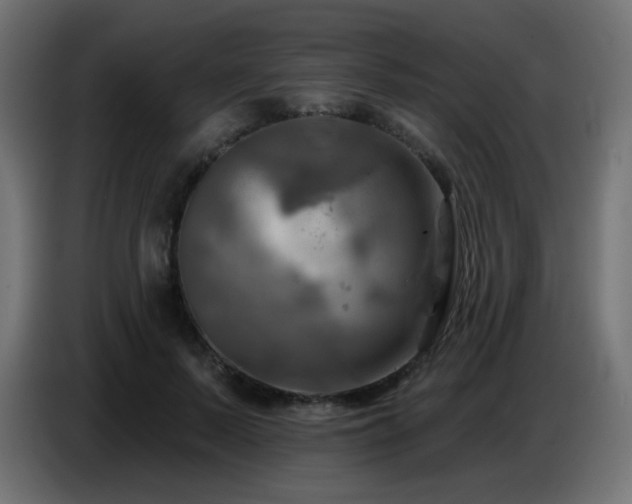 X0000086750695200704131151