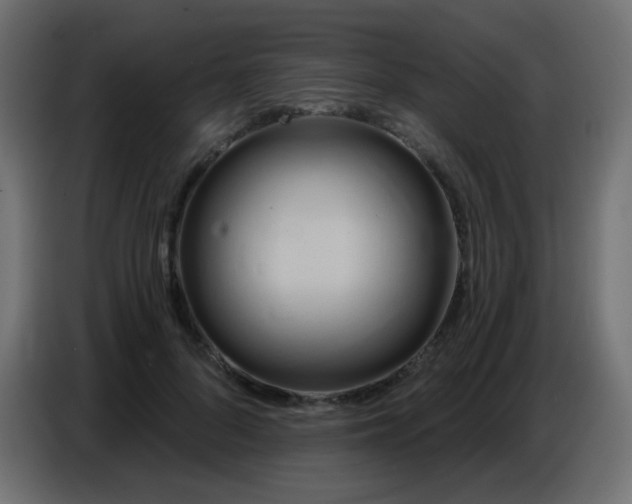 X0000086750696200704131151