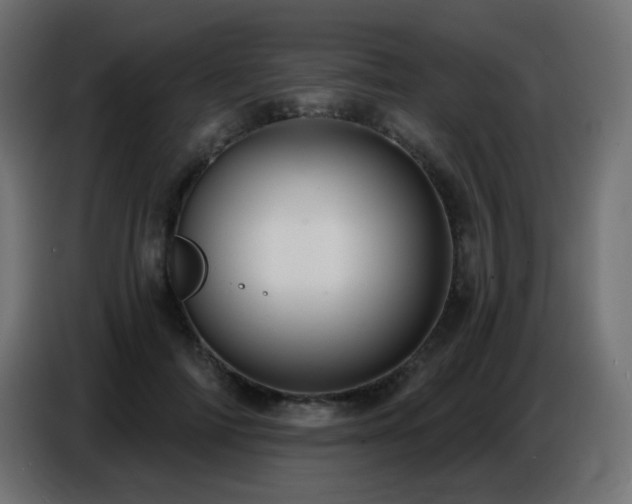 X0000086750698200704131151