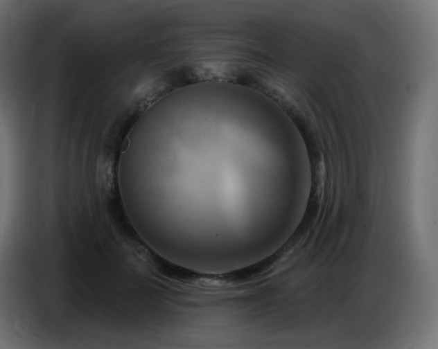 X0000086750699200704131151