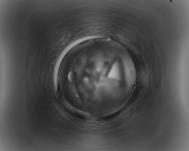 X0000086750703200704131151