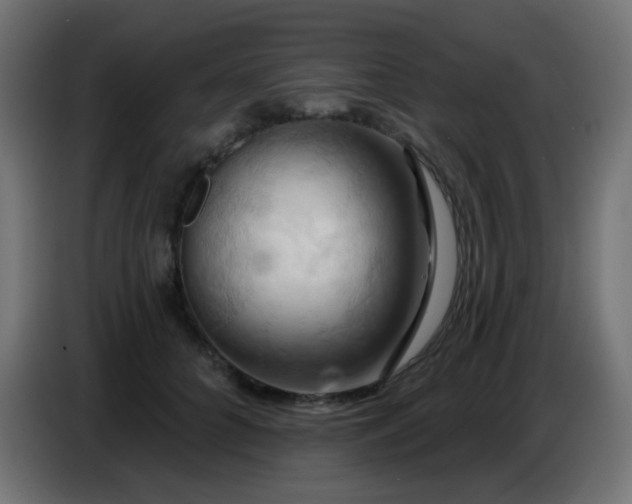 X0000086750704200704131151