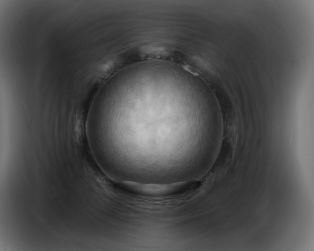 X0000086750708200704131151