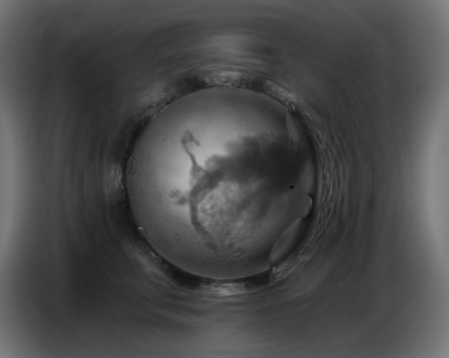 X0000086750711200704131151