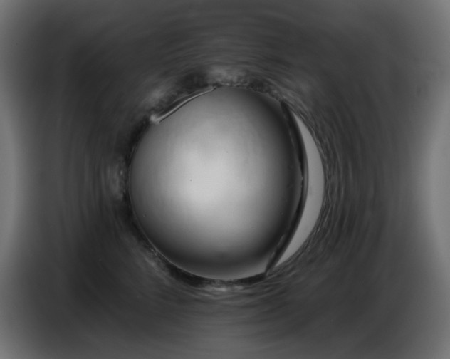 X0000086750712200704131151