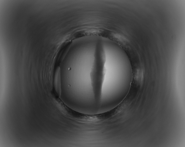 X0000086750715200704131151