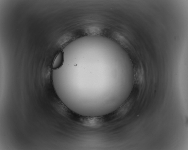 X0000086750717200704131151
