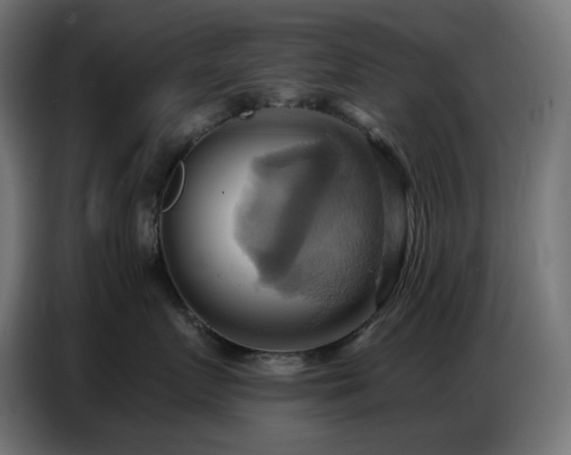 X0000086750719200704131151