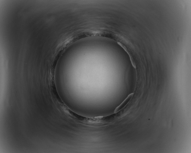 X0000086750720200704131151