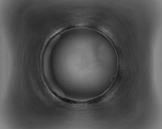 X0000086750721200704131150