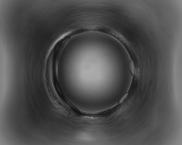 X0000086750724200704131150