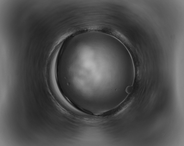 X0000086750725200704131150