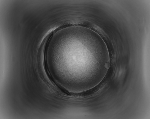 X0000086750727200704131150