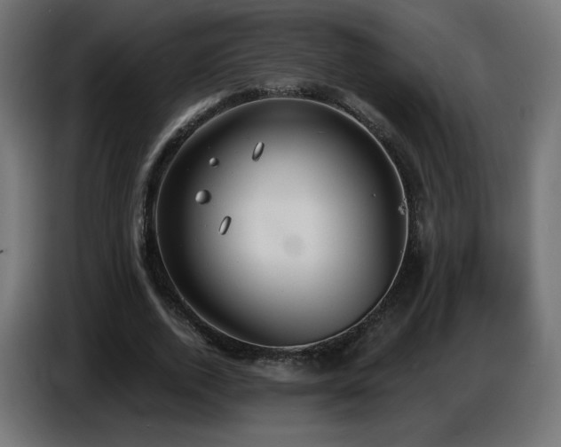 X0000086750728200704131150